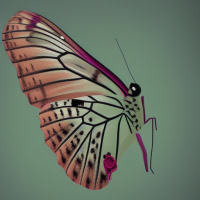 Скачать аватар Бабочки