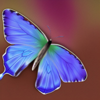 Насекомые Цветы Бабочки Синие 