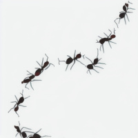 –О нет, мои муравьи сбежали из аквариума! – робо-голосом сказал Товарищ.