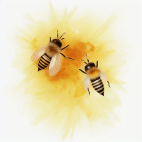 Насекомые Полосатые Пчёлы 