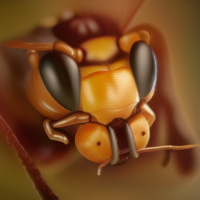 Аватар для ВК Пчёлы