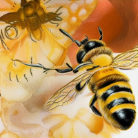 Скачать картинку Пчёлы