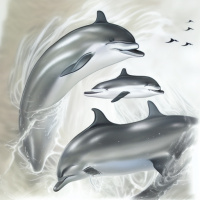 Картинка Дельфины