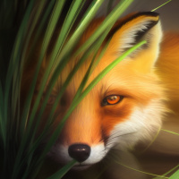 Аватар для ВК Животные