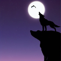 Скачать аватар Волки