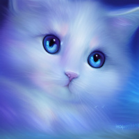 Животные Голубые глаза Коты Домашние животные Белые Котята Розовый нос Размытые 