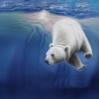 Животные Дикие животные Медведи Белые Вода Водоемы Подводный мир 