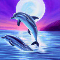 Семья Пара Вода Водоемы Горы Луна Дельфины 