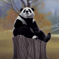 Животные Дикие животные Черно-белые Деревья Панды 
