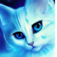 Аватар для ВК Домашние животные