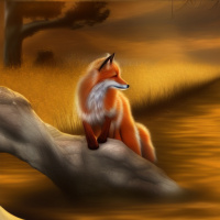 Аватар для ВК Дикие животные