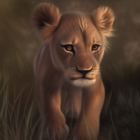 Животные Дикие животные Детеныши Львы 