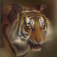 Картинка на аву Тигры