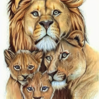 Животные Дикие животные Семья Львы 