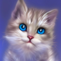 Животные Голубые глаза Коты Серые Домашние животные Детеныши Котята 