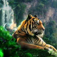 Животные Дикие животные Полосатые Тигры Горы Водопады 
