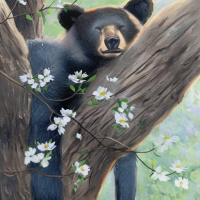 Животные Дикие животные Цветы Медведи Деревья Закрытые глаза Объятия 