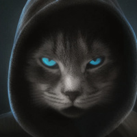 Животные Голубые глаза Коты Домашние животные Капюшон 