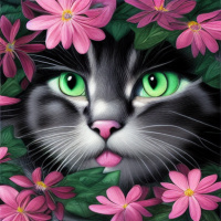 Животные Коты Цветы Серые Домашние животные Зеленые глаза Розовый нос Розовые 