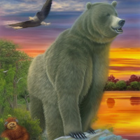 Животные Дикие животные Медведи Небо Вода Природа 