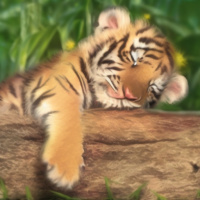 Животные Дикие животные Полосатые Детеныши Тигры Деревья Закрытые глаза Объятия 