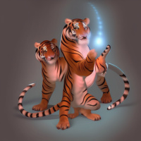 Животные Дикие животные Полосатые Пара Тигры Свет 