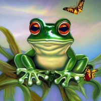 Аватарка Лягушки