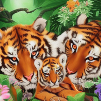 Животные Дикие животные Полосатые Семья Тигры 